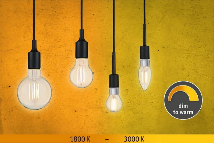 Paulmann LED-lampa - Transparent - Belysning - Ljuskällor & glödlampor - LED-belysning - LED-lampa - Koltrådslampa & glödtrådslampa