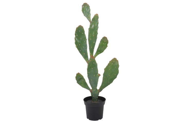 AGUIMES Konstgjord Växt Kaktus Grön