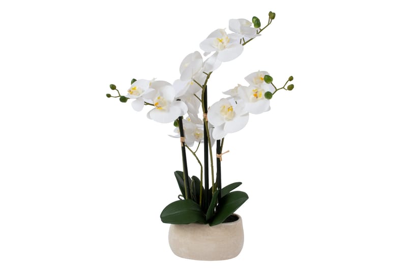 In Garden Konstväxt Orkide Vit - Inredning & dekor - Dekor & inredningsdetaljer - Konstgjorda växter