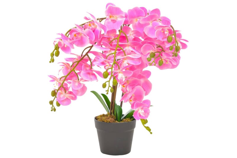 Konstväxt Orkidé med kruka 60 cm rosa