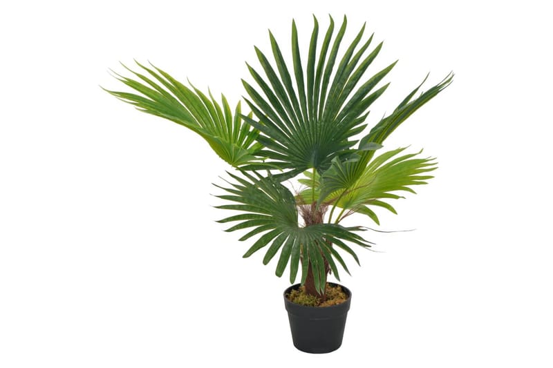 Konstväxt Palm med kruka 70 cm grön