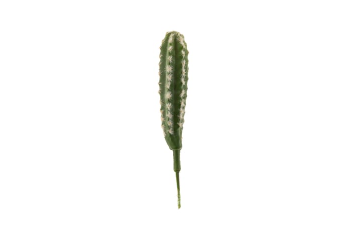 TROPICAL Kaktuspinne 25 cm
