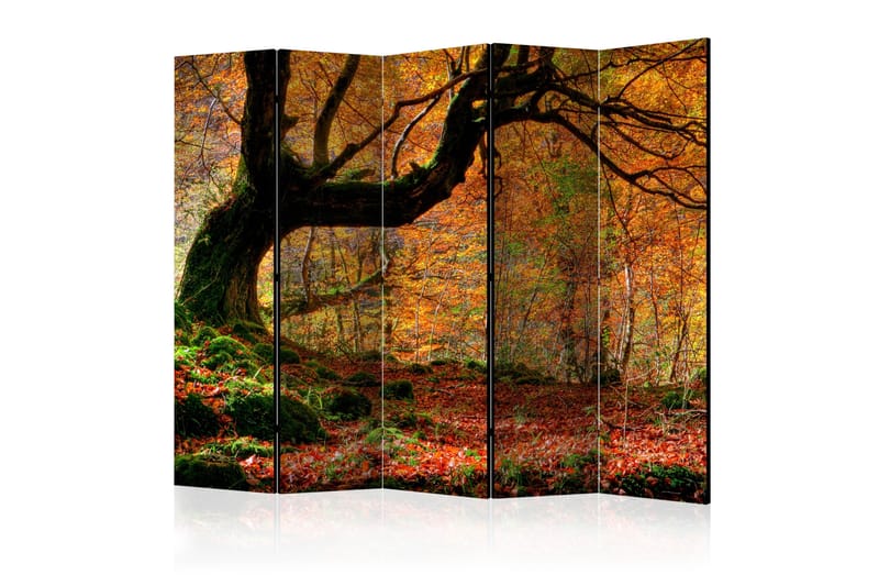 AUTUMN FOREST AND LEAVES Rumsavdelare 225x172 cm