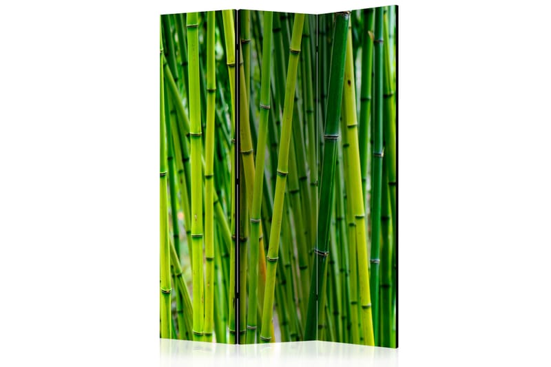 RUMSAVDELARE Bamboo Forest 135x172