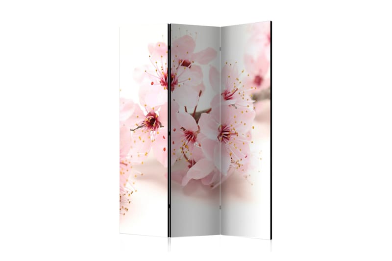 RUMSAVDELARE Cherry Blossom 135x172