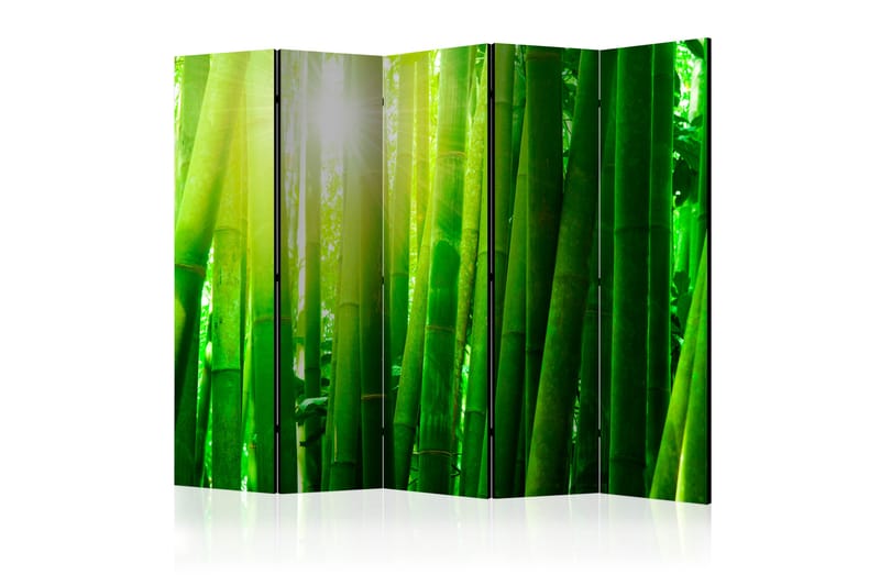 RUMSAVDELARE Sun and Bamboo II 225x172 cm