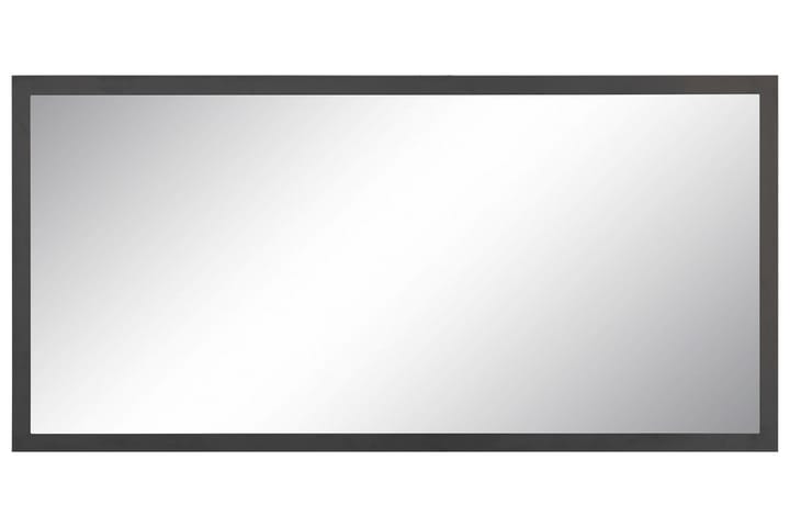 MAGENA Spegel 120x60 cm Vägghängd Antracit Högglans