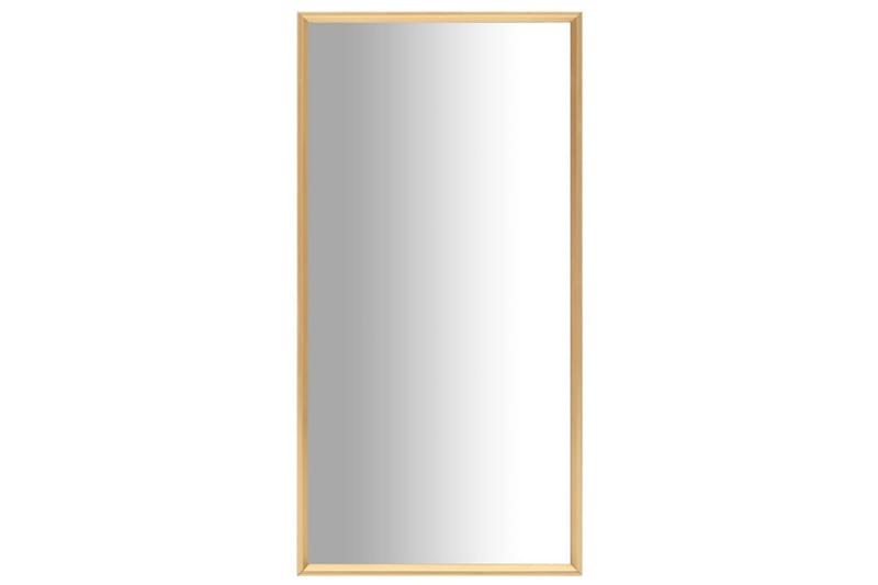 Spegel guld 120x60 cm