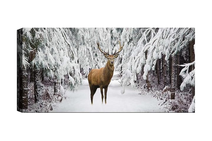 CANVASTAVLA YTY Animals Flerfärgad 120x50 cm - Inredning & dekor - Tavlor & konst - Canvastavla