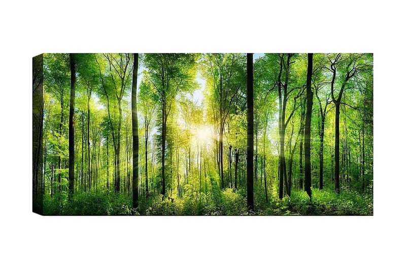 CANVASTAVLA YTY Landscape & Nature Flerfärgad 120x50 cm