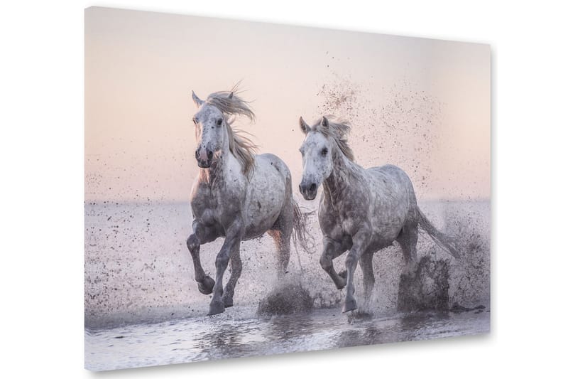 HORSES Tavla 75x100 cm Multifärgad - Inredning & dekor - Tavlor & konst - Canvastavla