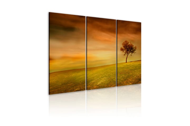 Tavla A Lonely Tree On A Meadow 60X40 Flerfärgad|Vit - Artgeist sp. z o. o. - Inredning & dekor - Tavlor & konst - Canvastavla