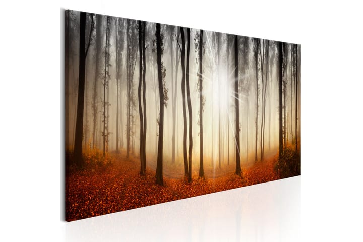 Tavla Autumnal Fog 150X50 Vit - Landskap - Inredning & dekor - Tavlor & konst - Canvastavla