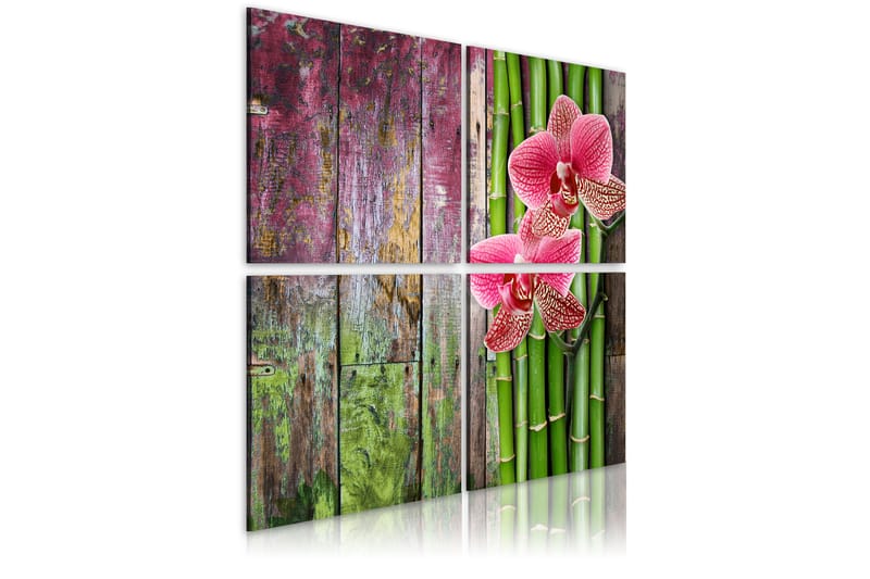 Tavla Bambu Och Orkidé 40X40 Flerfärgad - Zen - Inredning & dekor - Tavlor & konst - Canvastavla