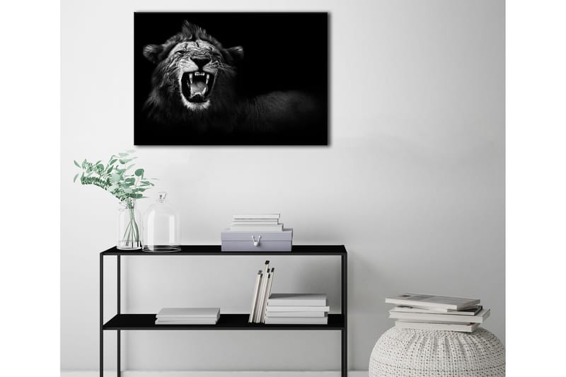 Tavla Canvas Lion 75X100 Svart|Grå - Svart|Grå - Inredning & dekor - Tavlor & konst - Canvastavla