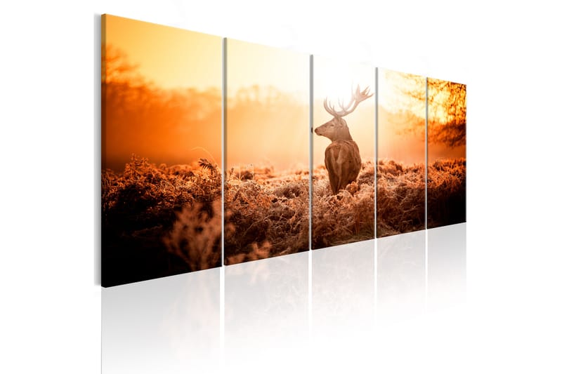 Tavla Deer At Sunset 200X80 Vit - Artgeist sp. z o. o. - Inredning & dekor - Tavlor & konst - Canvastavla