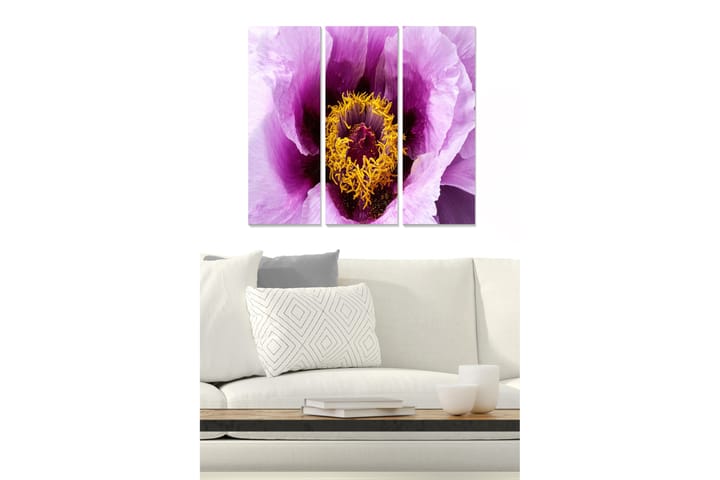 Tavla Floral 3-Pack Flerfärgad 20X50 Cm - 20x50 cm - Inredning & dekor - Tavlor & konst - Canvastavla