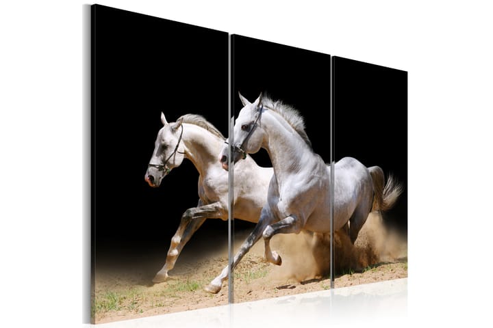 Tavla Horses- Power And Velocity 120X80 Beige|Vit|Svart - Djur - Inredning & dekor - Tavlor & konst - Canvastavla