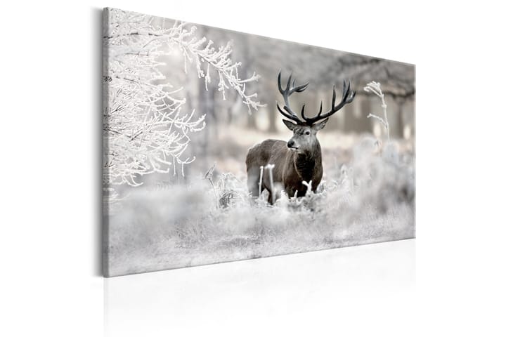 Tavla Lonely Deer 120X80 Grå - Artgeist sp. z o. o. - Inredning & dekor - Tavlor & konst - Canvastavla
