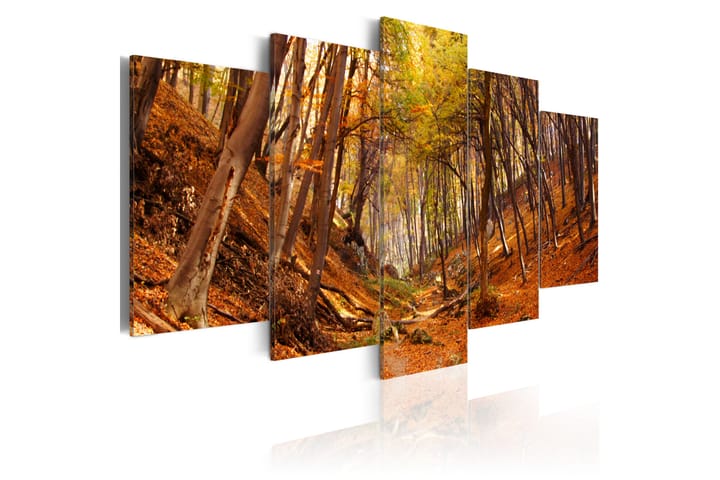Tavla Orange Autumn 100X50 Vit - Landskap - Inredning & dekor - Tavlor & konst - Canvastavla