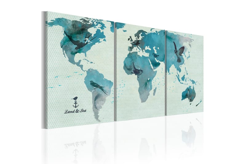 Tavla Ornitologiska Världskarta 60X30 Blå|Vit