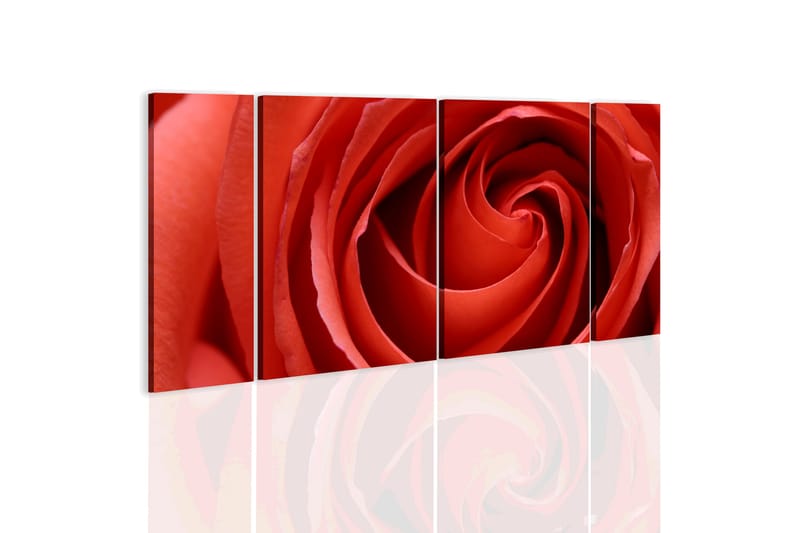 Tavla Passionate Rose 60X30 Röd|Vit