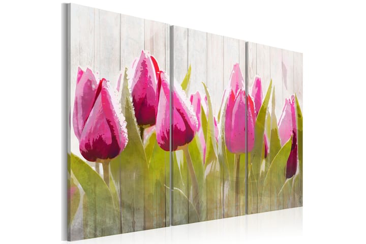 Tavla Spring Bouquet Of Tulips 60X40 Rosa|Vit