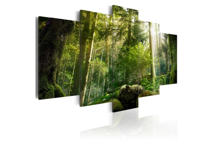 Tavla The Beauty Of The Forest 200X100 Grön|Vit - Landskap - Inredning & dekor - Tavlor & konst - Canvastavla