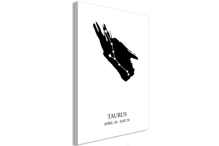 TAVLA Zodiac Signs: Taurus (1 Part) Vertical 60x90 - Artgeist sp. z o. o. - Inredning & dekor - Tavlor & konst - Canvastavla