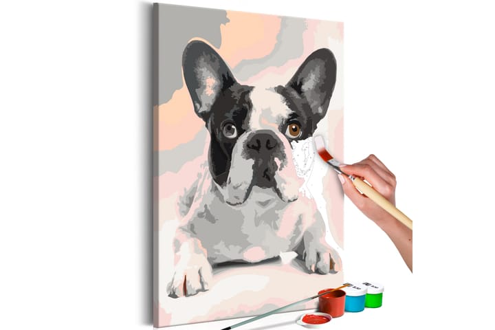 GÖR-DET-SJÄLV Målningar French Bulldog  40x60 cm - Artgeist sp. z o. o. - Inredning & dekor - Tavlor & konst - Måla själv - Gör det själv tavlor