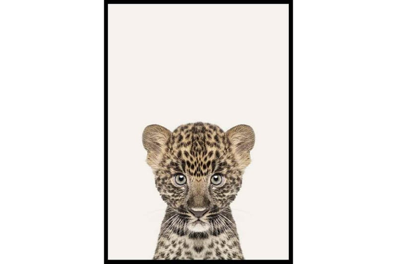 Baby Leopard - Finns i flera storlekar - Inredning & dekor - Tavlor & konst - Poster & print