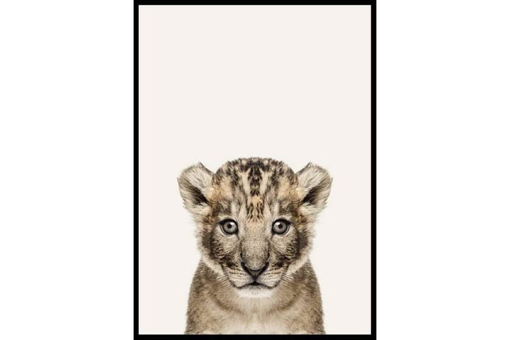 Baby Lion - Finns i flera storlekar - Inredning & dekor - Tavlor & konst - Poster & print