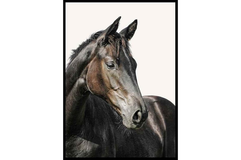 Brown Horse - Finns i flera storlekar - Inredning & dekor - Tavlor & konst - Poster & print - Fotografiska posters