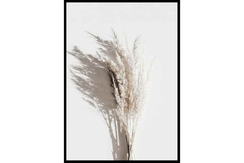 Dry Reeds No3 - Finns i flera storlekar - Inredning & dekor - Tavlor & konst - Poster & print