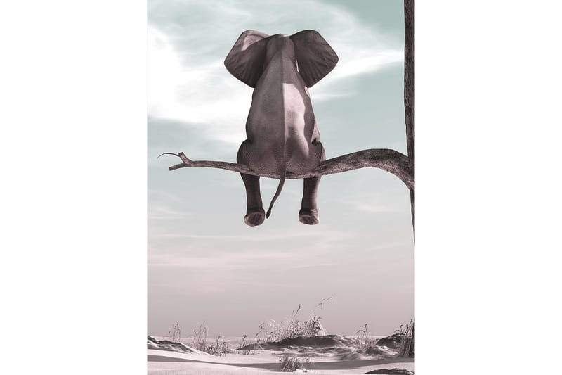 ELEPHANT Poster 50x70 cm Multifärgad - Inredning & dekor - Tavlor & konst - Poster & print