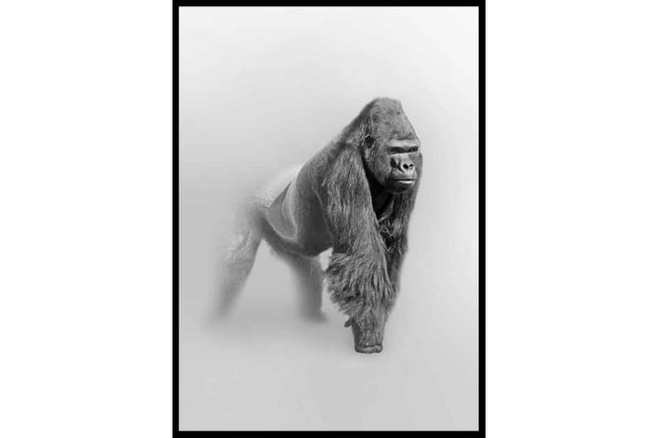 Faded Gorilla - Finns i flera storlekar - Inredning & dekor - Tavlor & konst - Poster & print