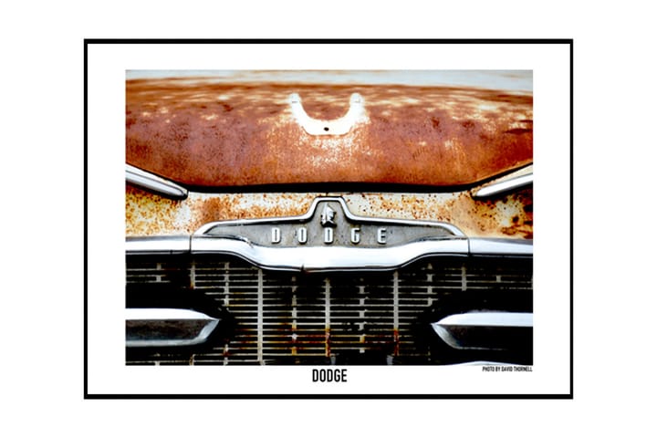 Poster Dodge Brun|Vit 70X100