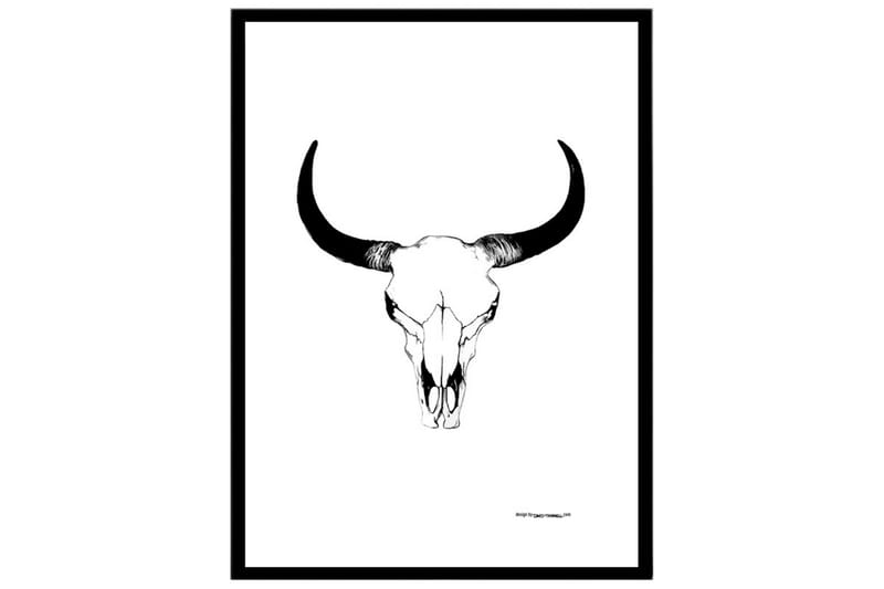 Poster Horn Skull Vit|Svart 61X91
