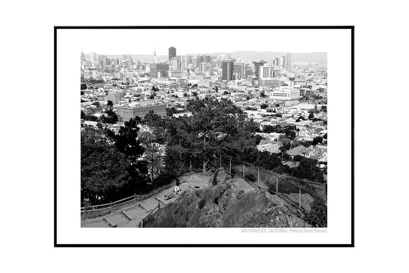 Poster San Francisco Skyline Grå|Vit 61X91