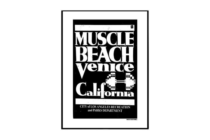 Poster Venice Muscle Beach Vit|Svart 61X91