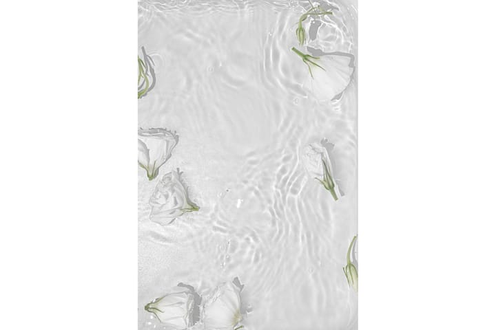Poster White roses 50x70 cm Vit - Inredning & dekor - Tavlor & konst - Poster & print