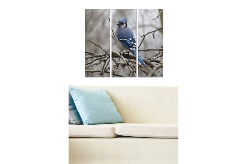 Tavla Animal 3-Pack Flerfärgad 20X50 - 20x50 cm - Inredning & dekor - Tavlor & konst - Poster & print
