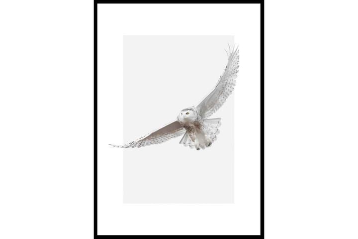 White Owl - Finns i flera storlekar - Inredning & dekor - Tavlor & konst - Poster & print