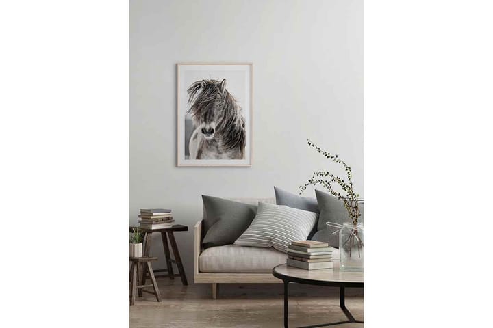Wild Horse - Finns i flera storlekar - Inredning & dekor - Tavlor & konst - Poster & print