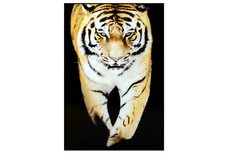 Tavla Tiger 80X120 Flerfärgad - 80x120 cm Flerfärgad - Inredning & dekor - Väggdekor - Ramar - Tavelram