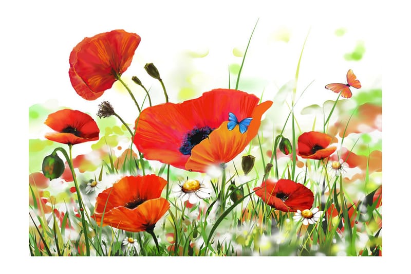 FOTOTAPET Country Poppies 400x270