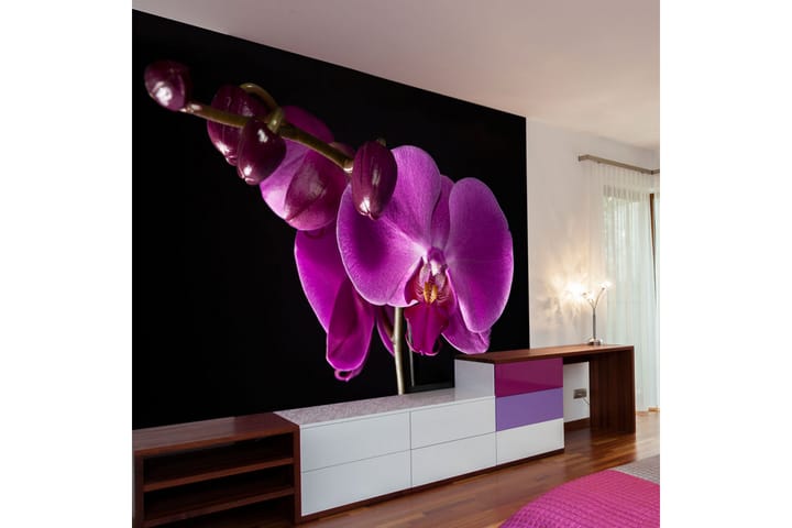 FOTOTAPET Elegant Orchids 300x231 - Artgeist sp. z o. o. - Inredning & dekor - Väggdekor - Tapeter & tapettillbehör - Fototapeter