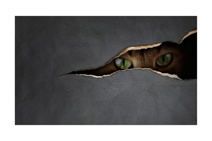 FOTOTAPET Kattens Blick 450x270 - Artgeist sp. z o. o. - Inredning & dekor - Väggdekor - Tapeter & tapettillbehör - Fototapeter