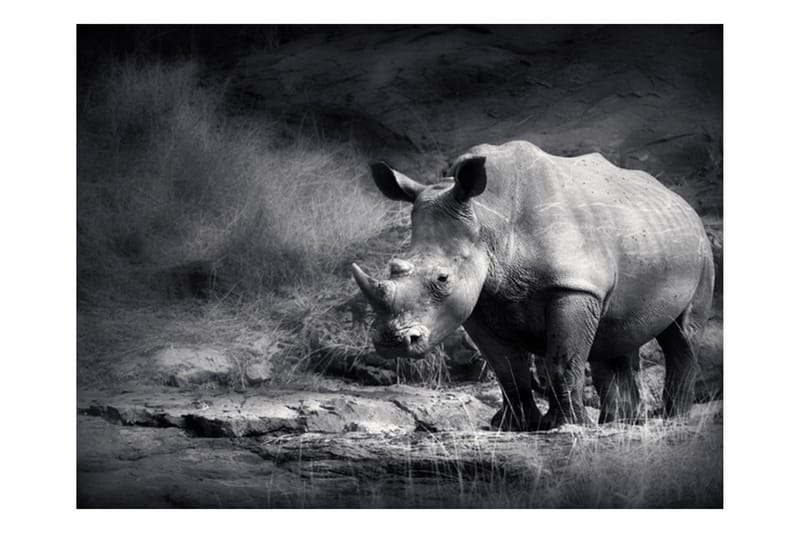 FOTOTAPET Rhino Lost In Dreams 300x231 - Artgeist sp. z o. o. - Inredning & dekor - Väggdekor - Tapeter & tapettillbehör - Fototapeter
