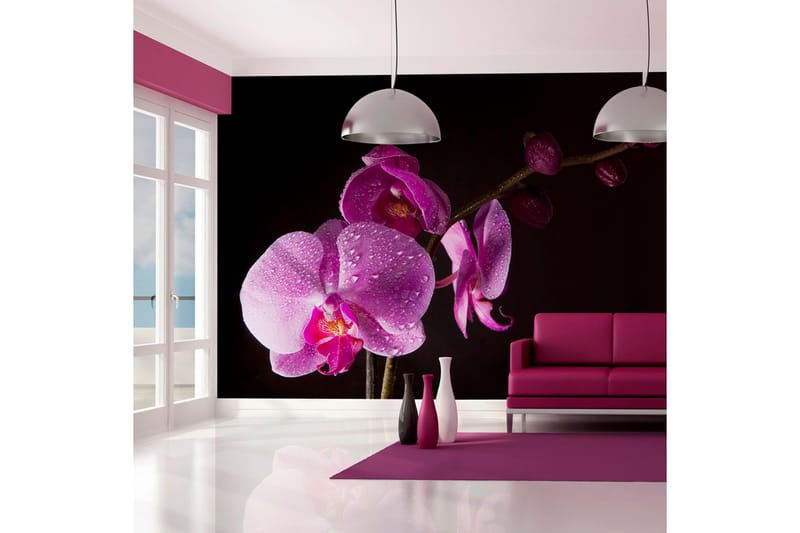 FOTOTAPET Stylish Orchids 300x231